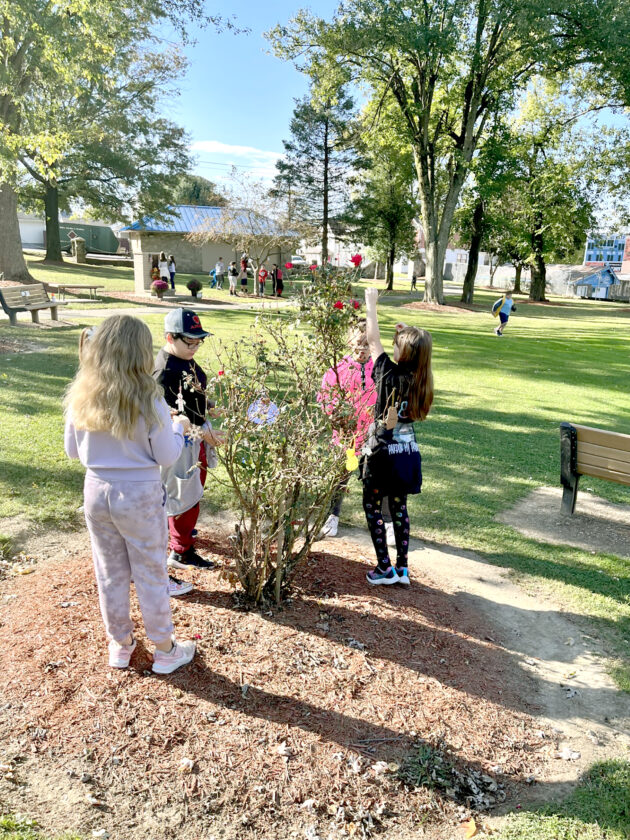 Decking the park News, Sports, Jobs Weirton Daily Times